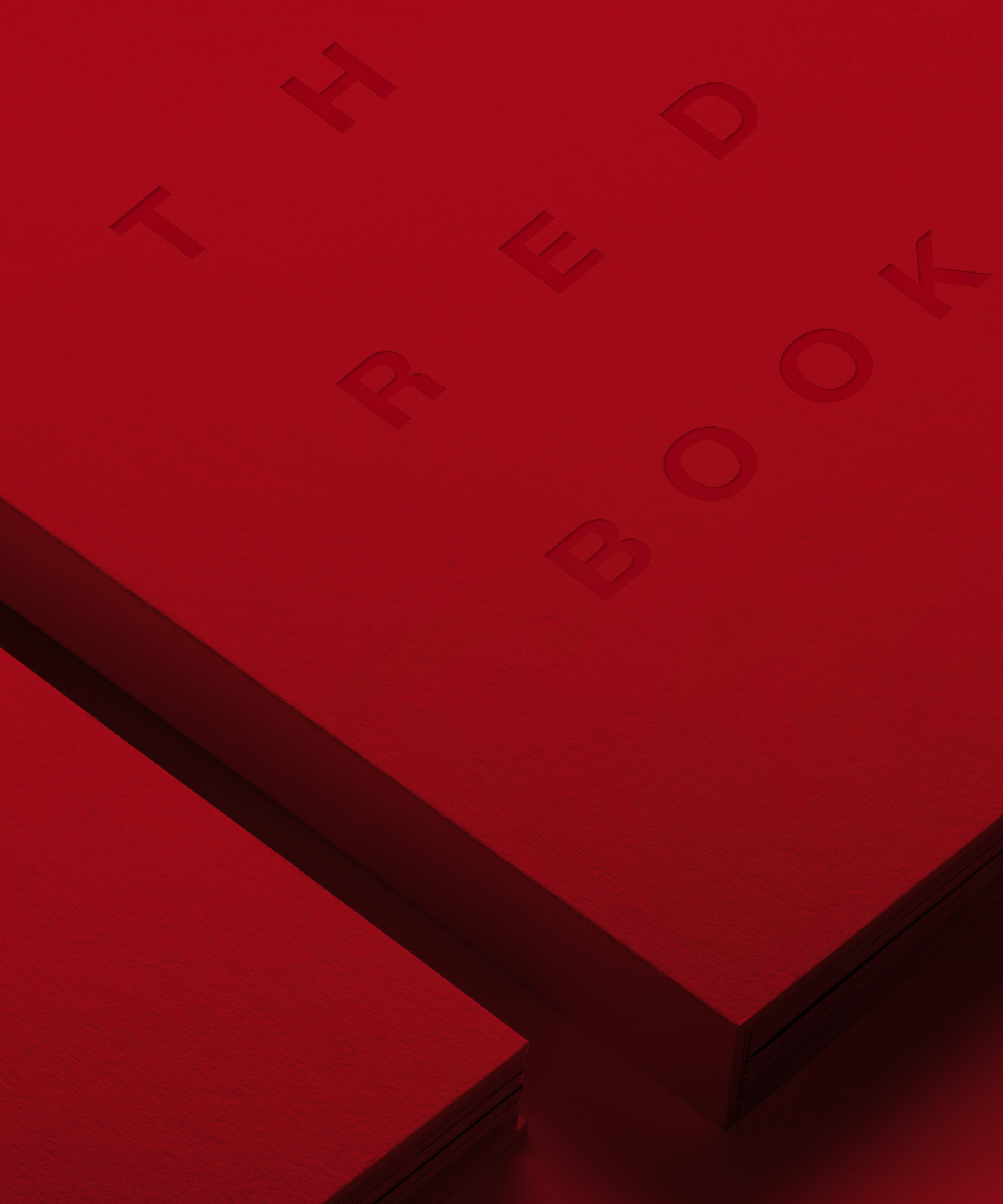 The RED Book - My Vision Kit