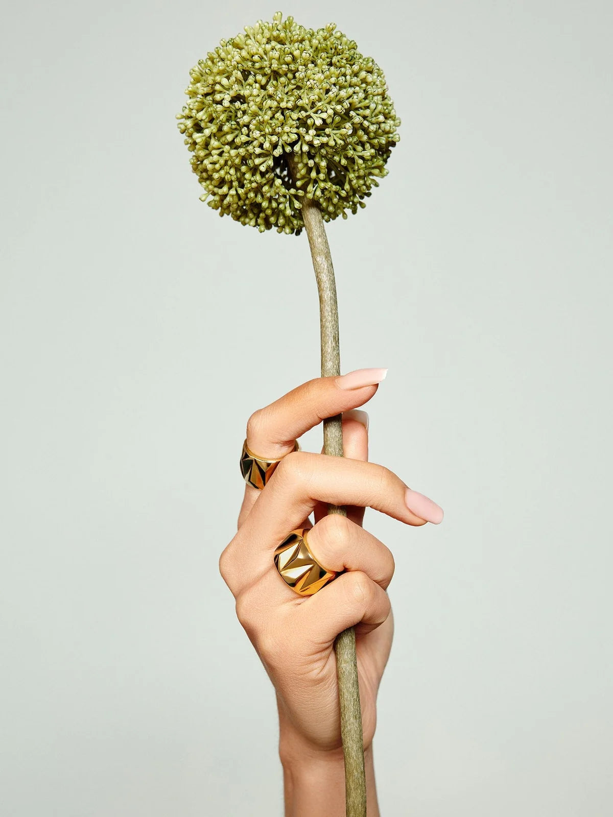 Sierra ring