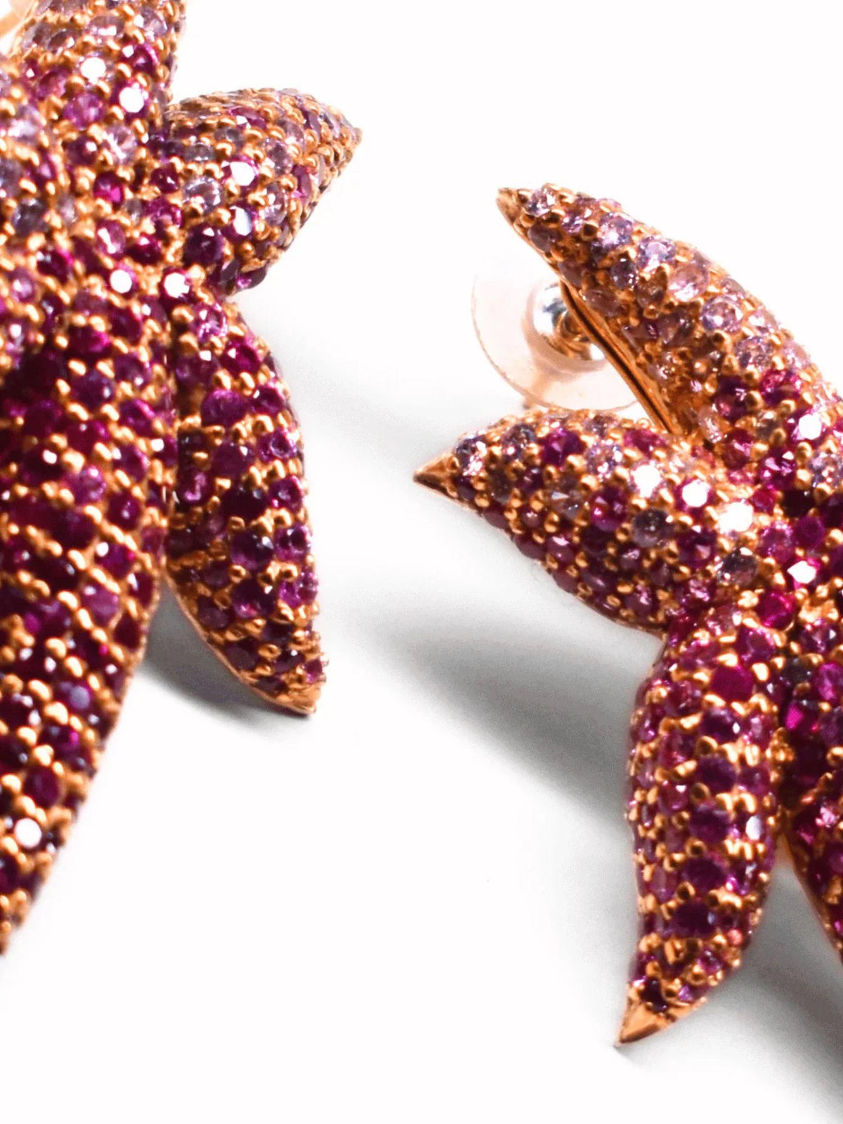 Starfish Earrings
