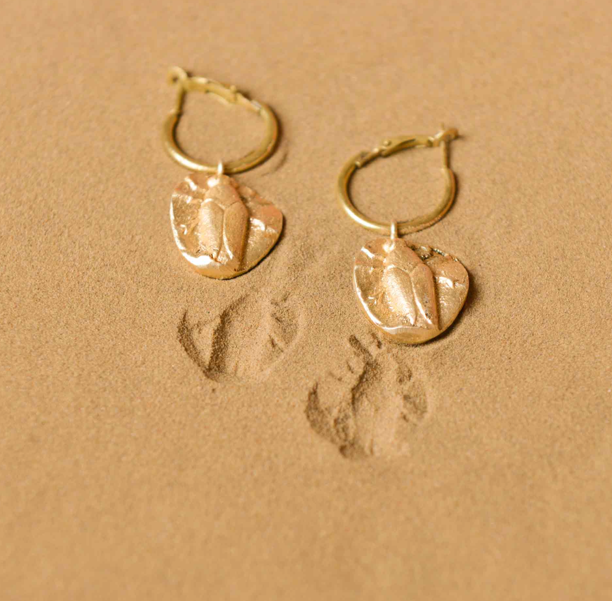 FOSSLIL HOOPS 1