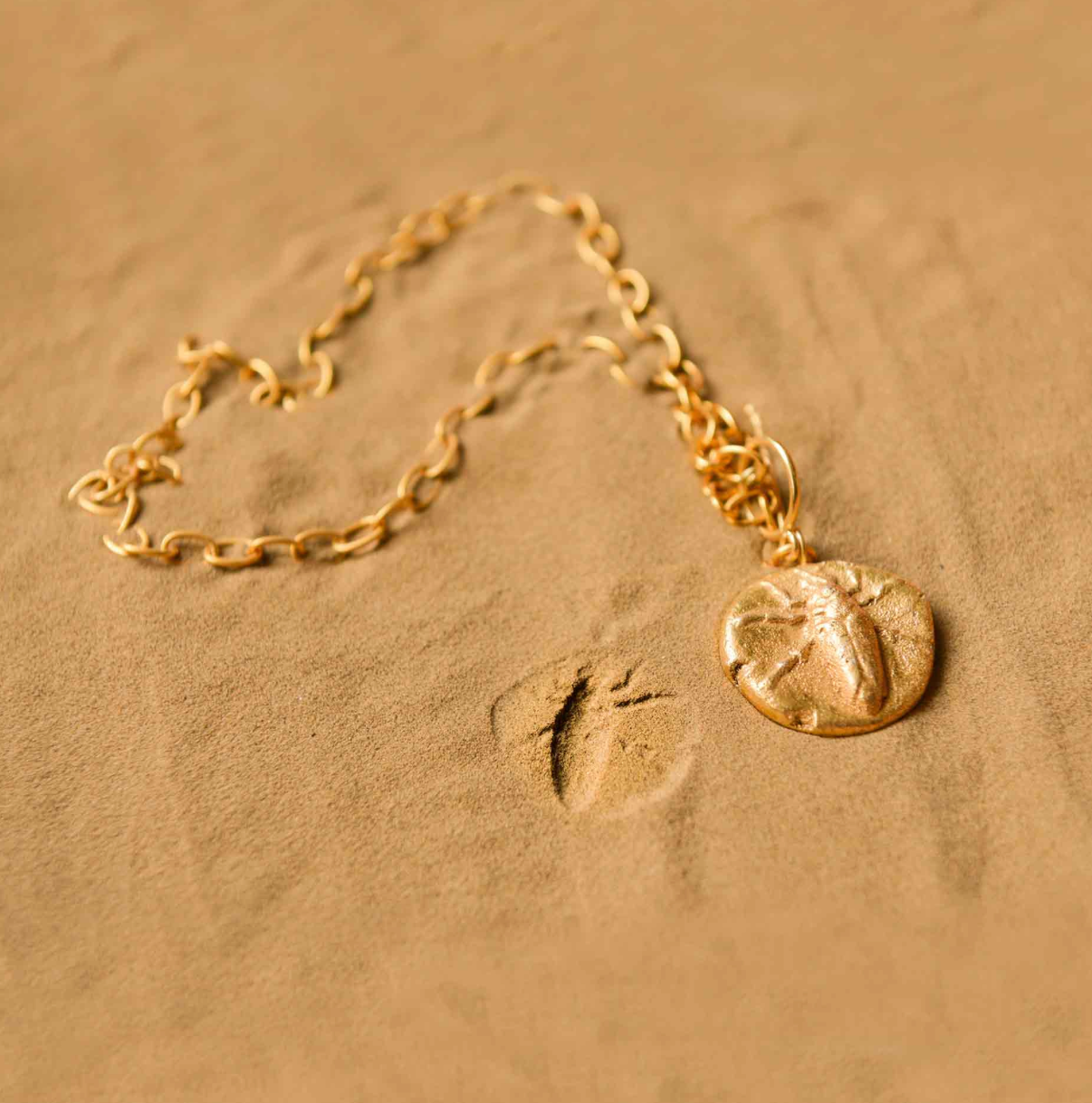 FOSSIL SHACKLE 1