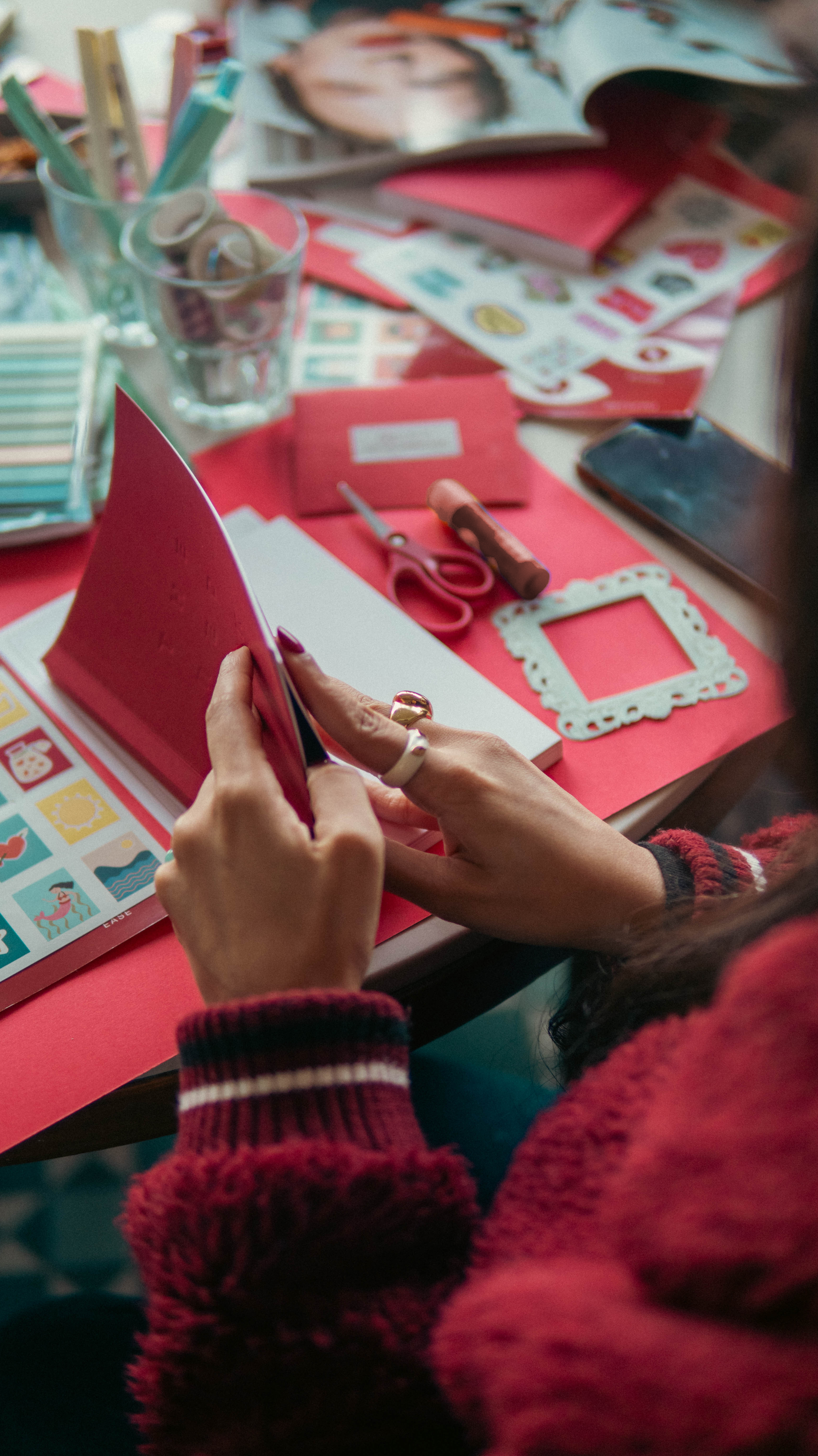 The RED Book - My Vision Kit