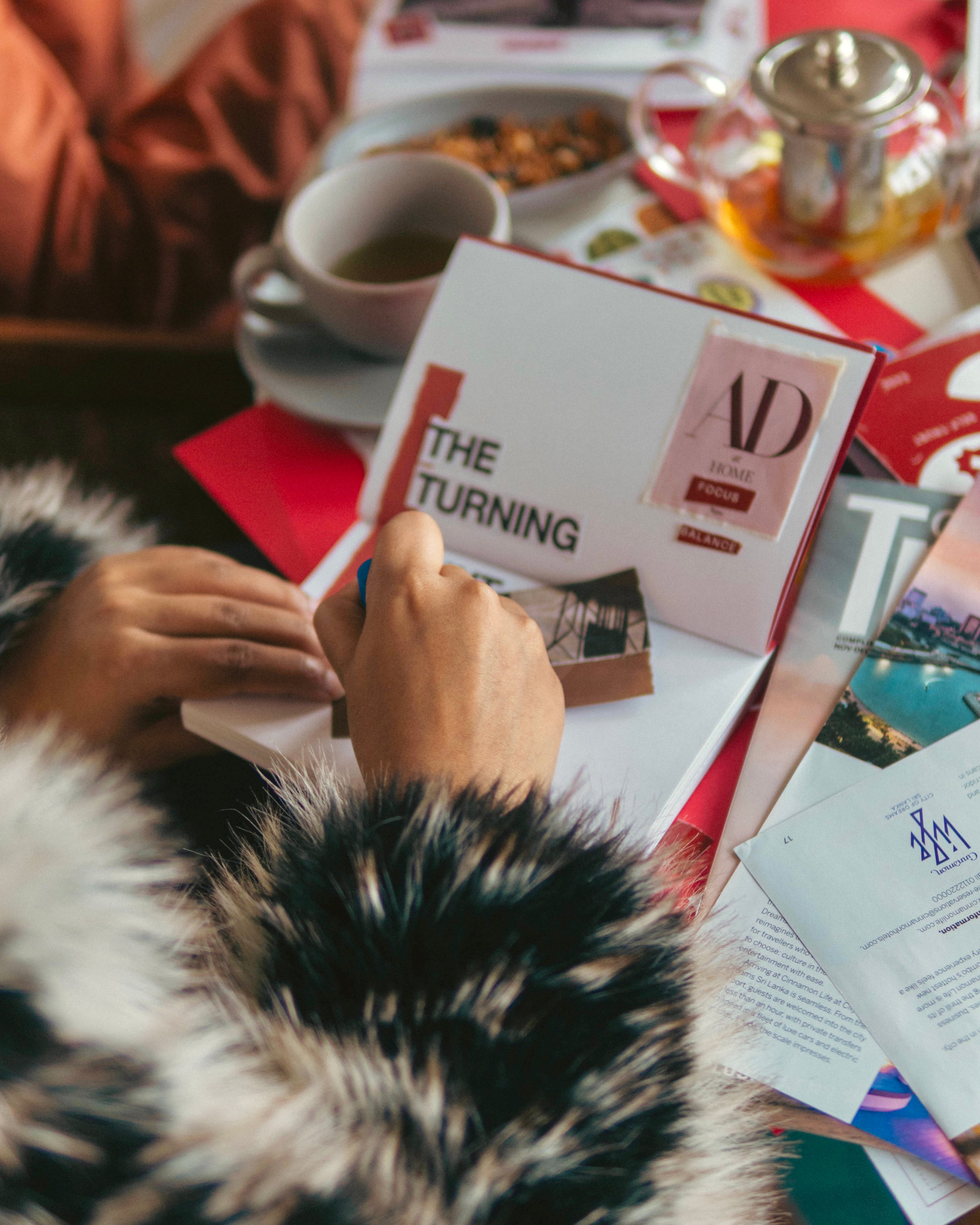 The RED Book - My Vision Kit