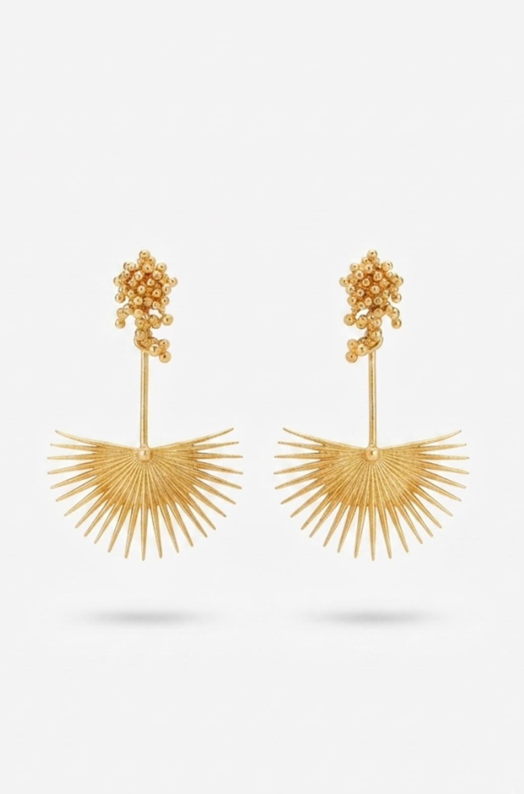 Palmier Danglers