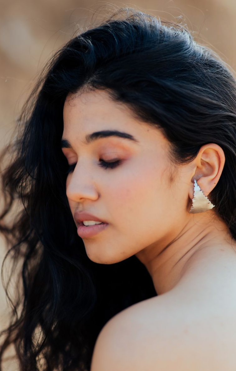 FIT IN SILVER EARRINGS