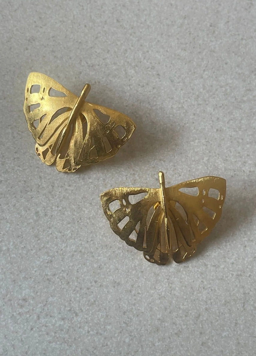 CANNA STUDS