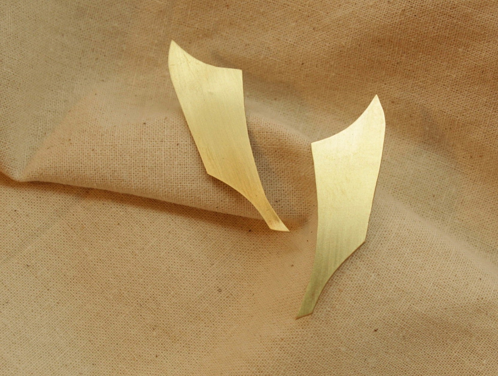 PINNA EAR LOBE