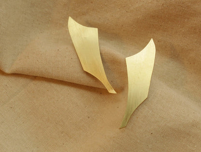 PINNA EAR LOBE
