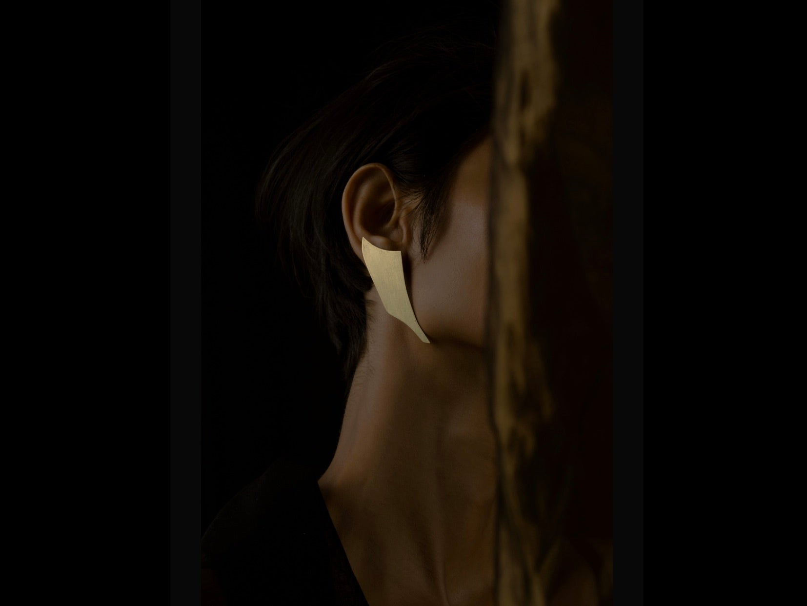 PINNA EAR LOBE