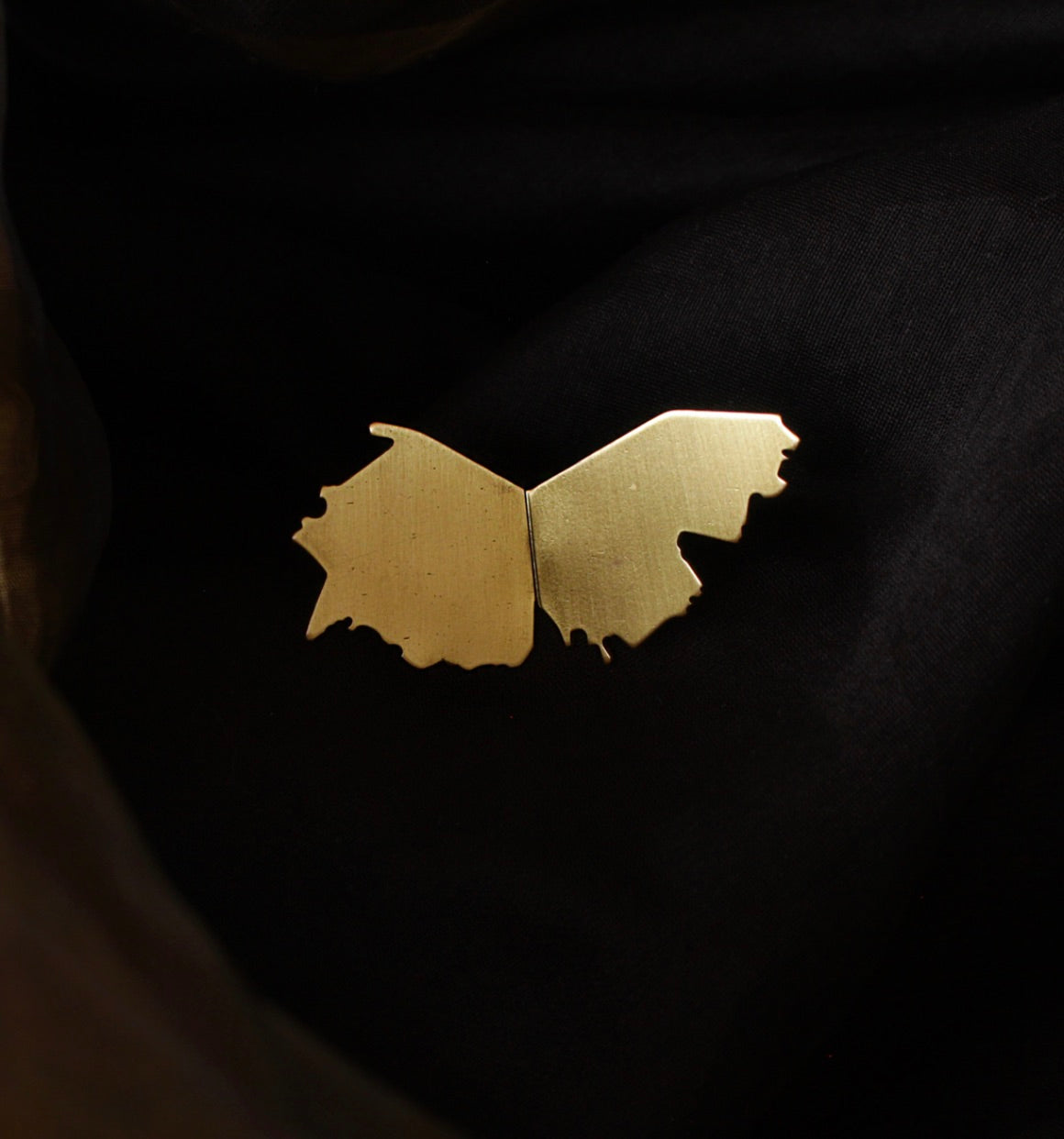 TATTERED WING-RING