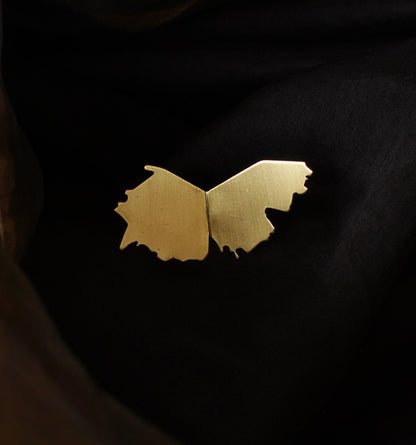 TATTERED WING-RING