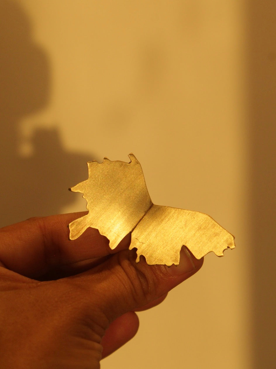 TATTERED WING-RING