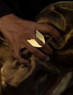 Load image into Gallery viewer, PINCER SPLIT RING_1
