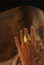 Load image into Gallery viewer, PINCER SPLIT RING_1
