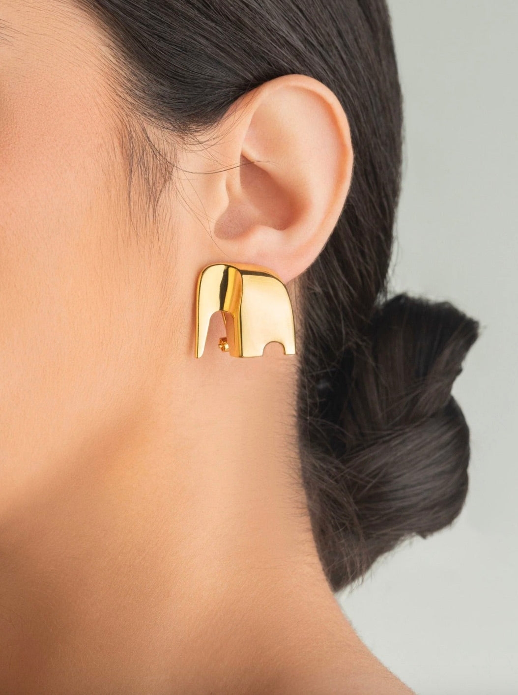 GENTLE GIANT EARRINGS