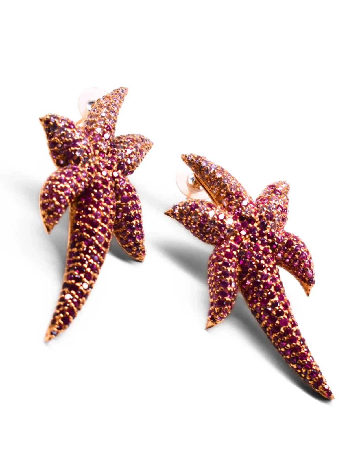 Starfish Earrings
