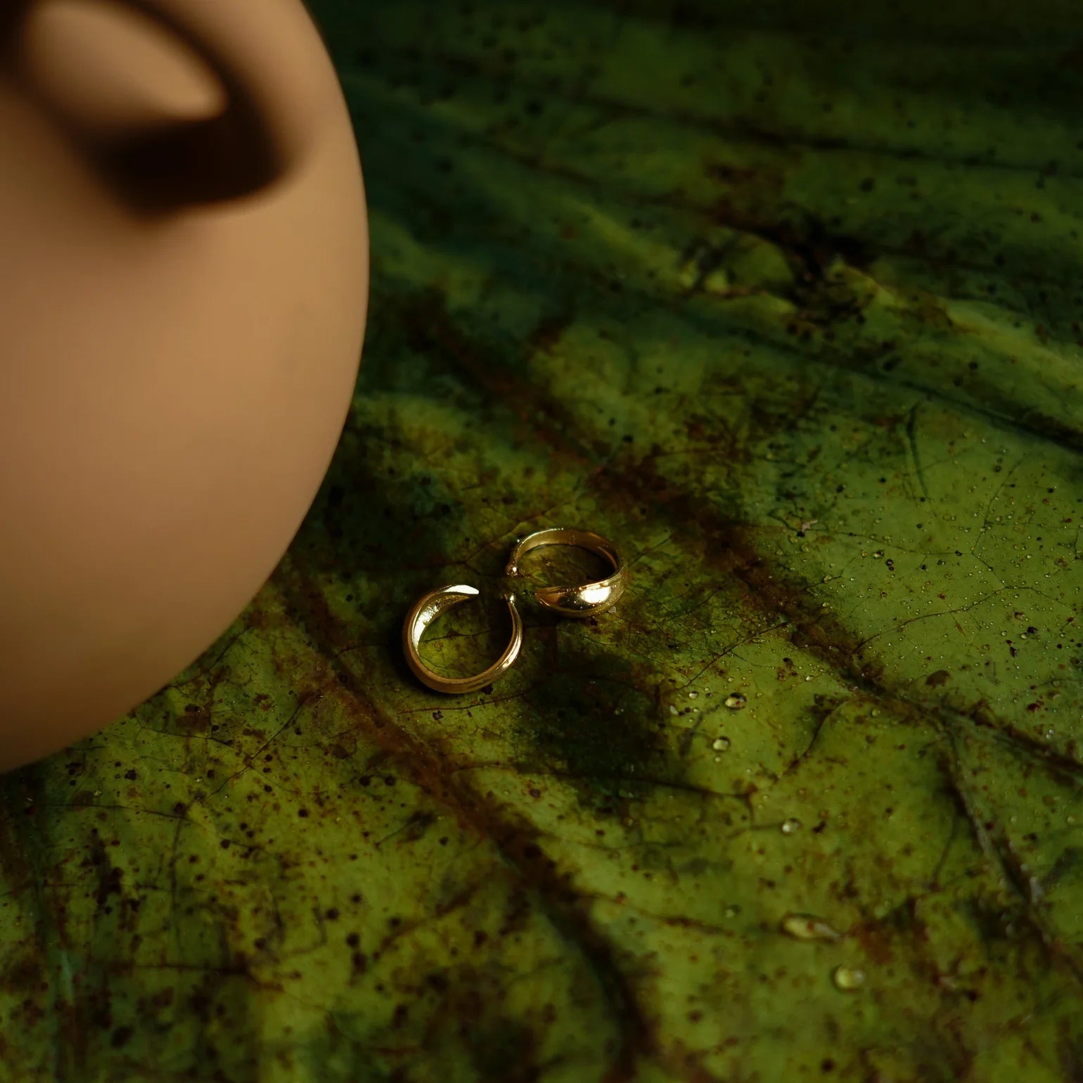 BELIEF FISH CUFF