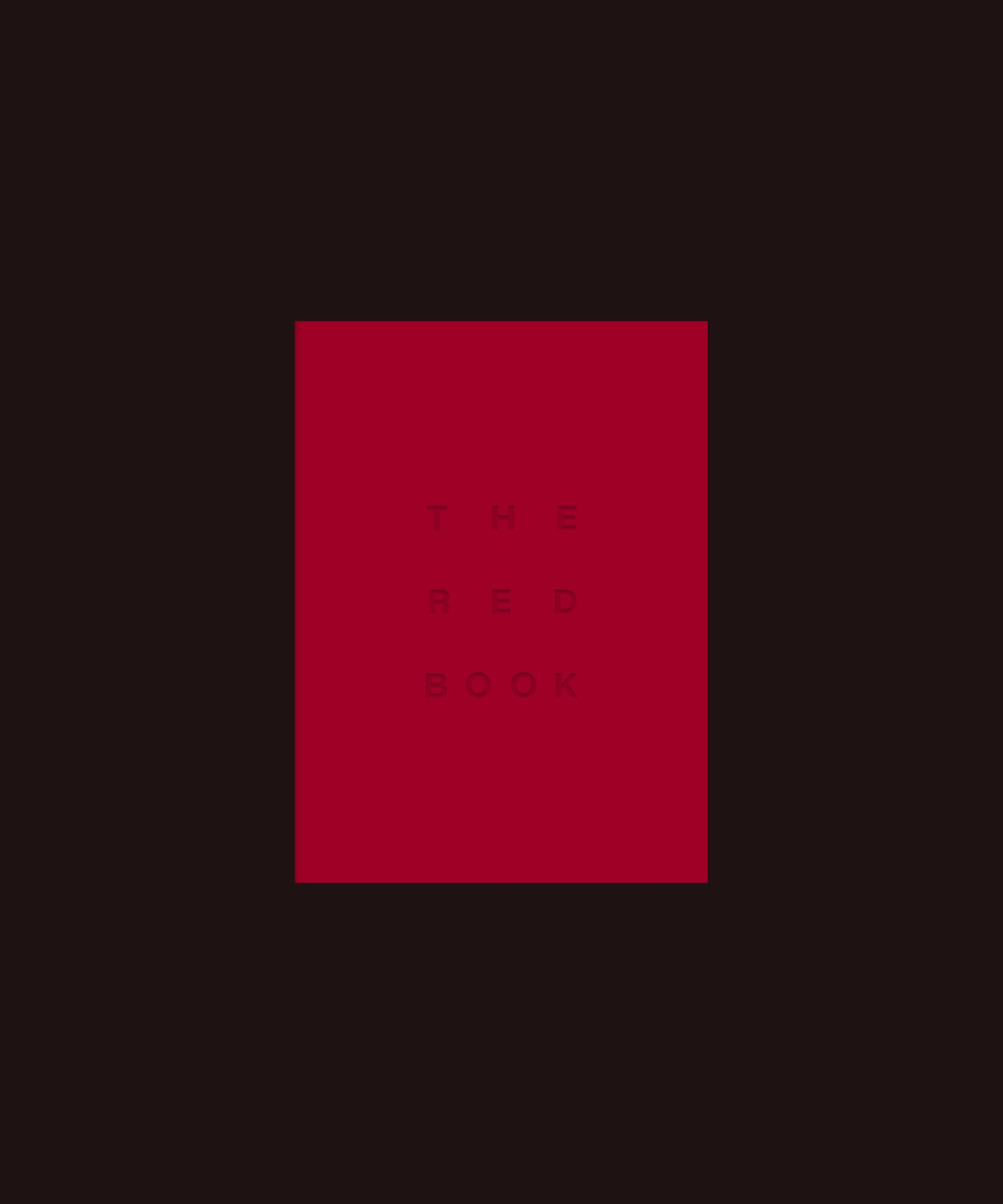 The RED Book - My Vision Kit