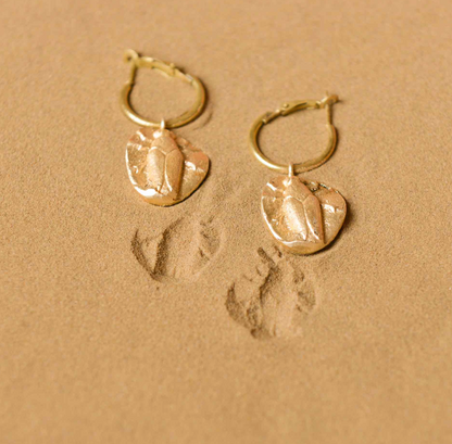 FOSSLIL HOOPS 1