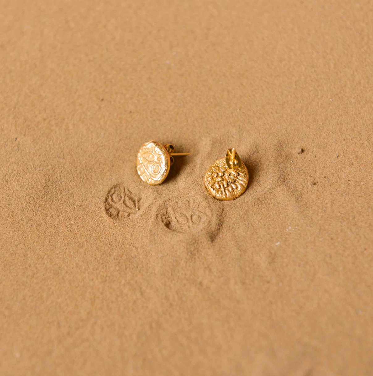 FOSSIL STUD 1