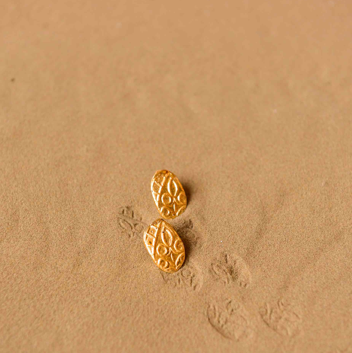 Fossil Stud 3