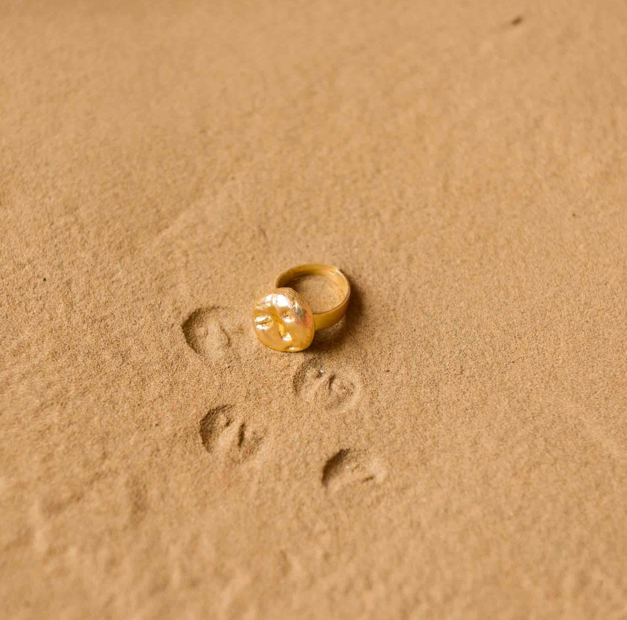 FOSSIL RING 2