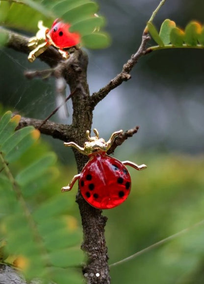 LADY BUG