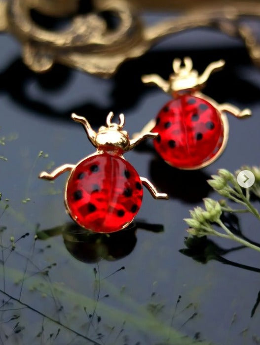 LADY BUG